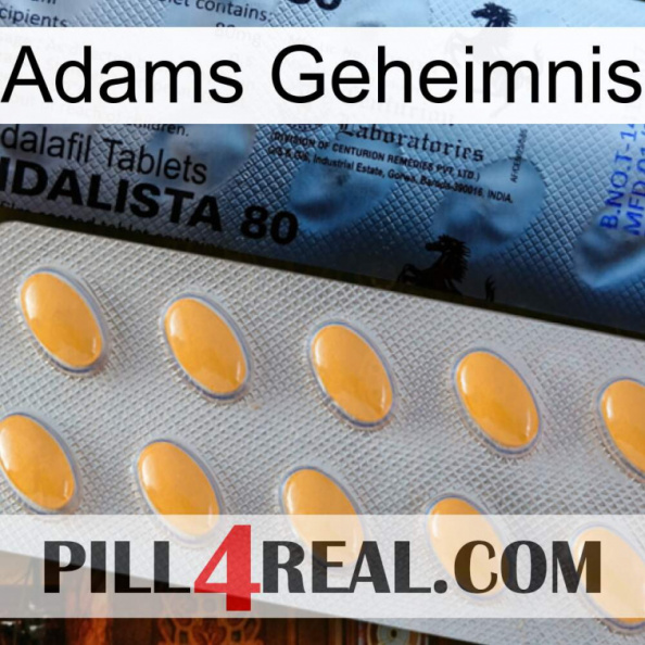 Adams Secret 44.jpg